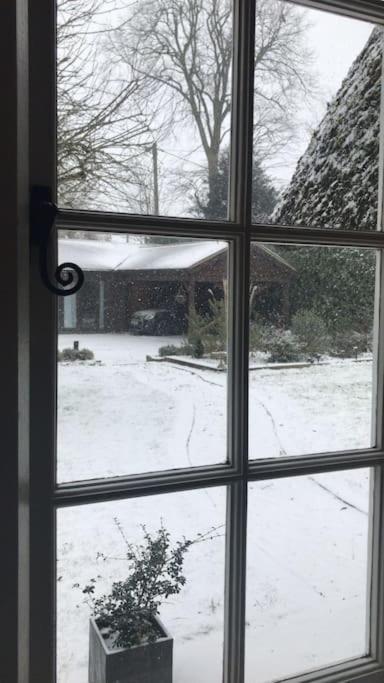 Winterborne Holiday home *